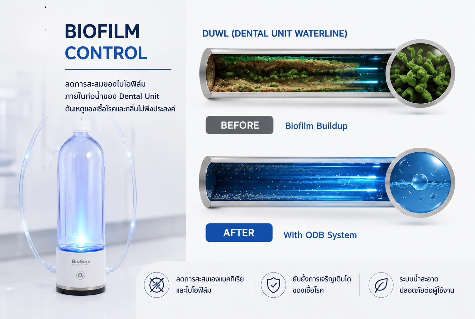 Biofilm Control